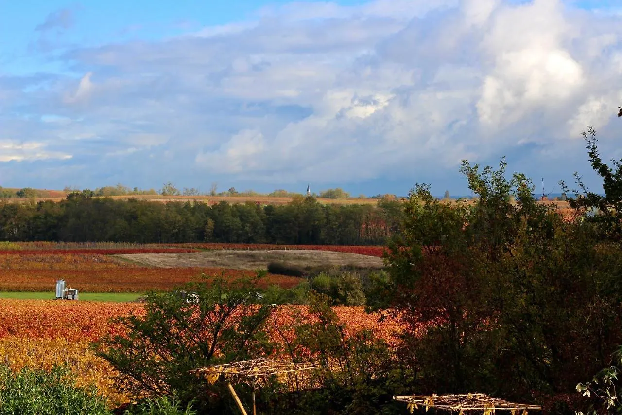 Domaine De La Serve Lancie 0*,  France